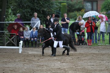 Bild 558 - WBO-Turnier am 18.9.11